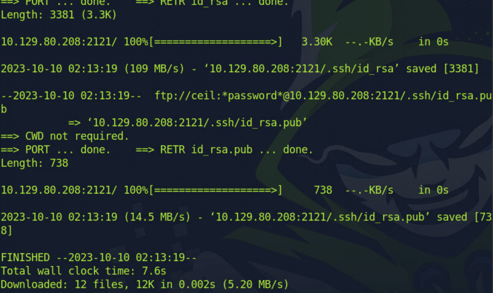 weget result for port 2121